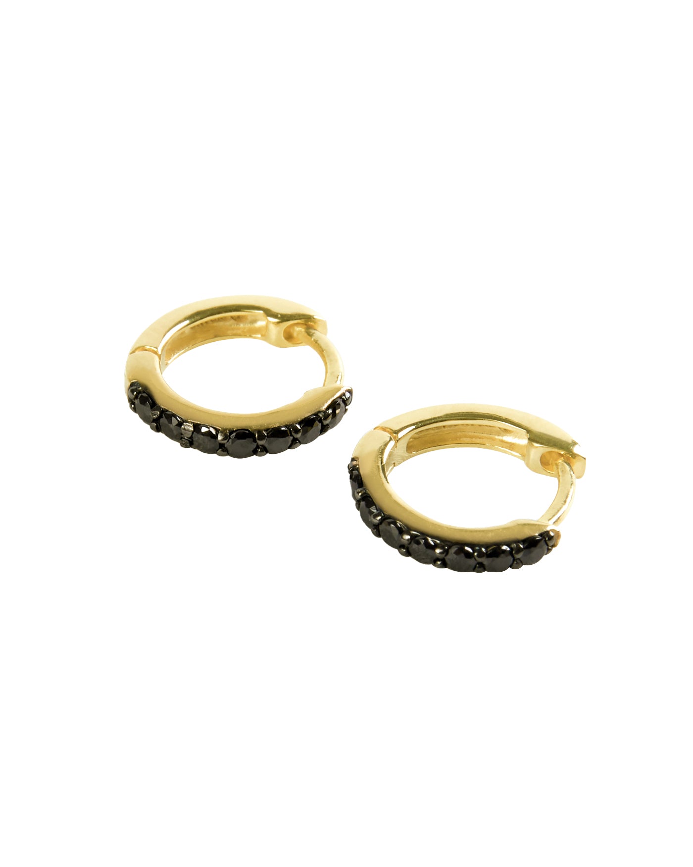 Erica Hoop Earrings