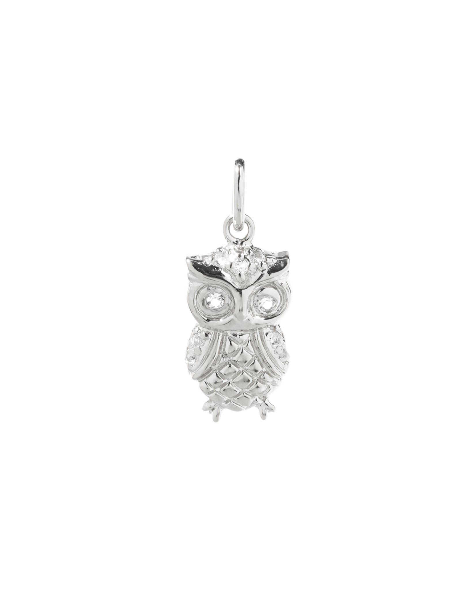 Owl Charm