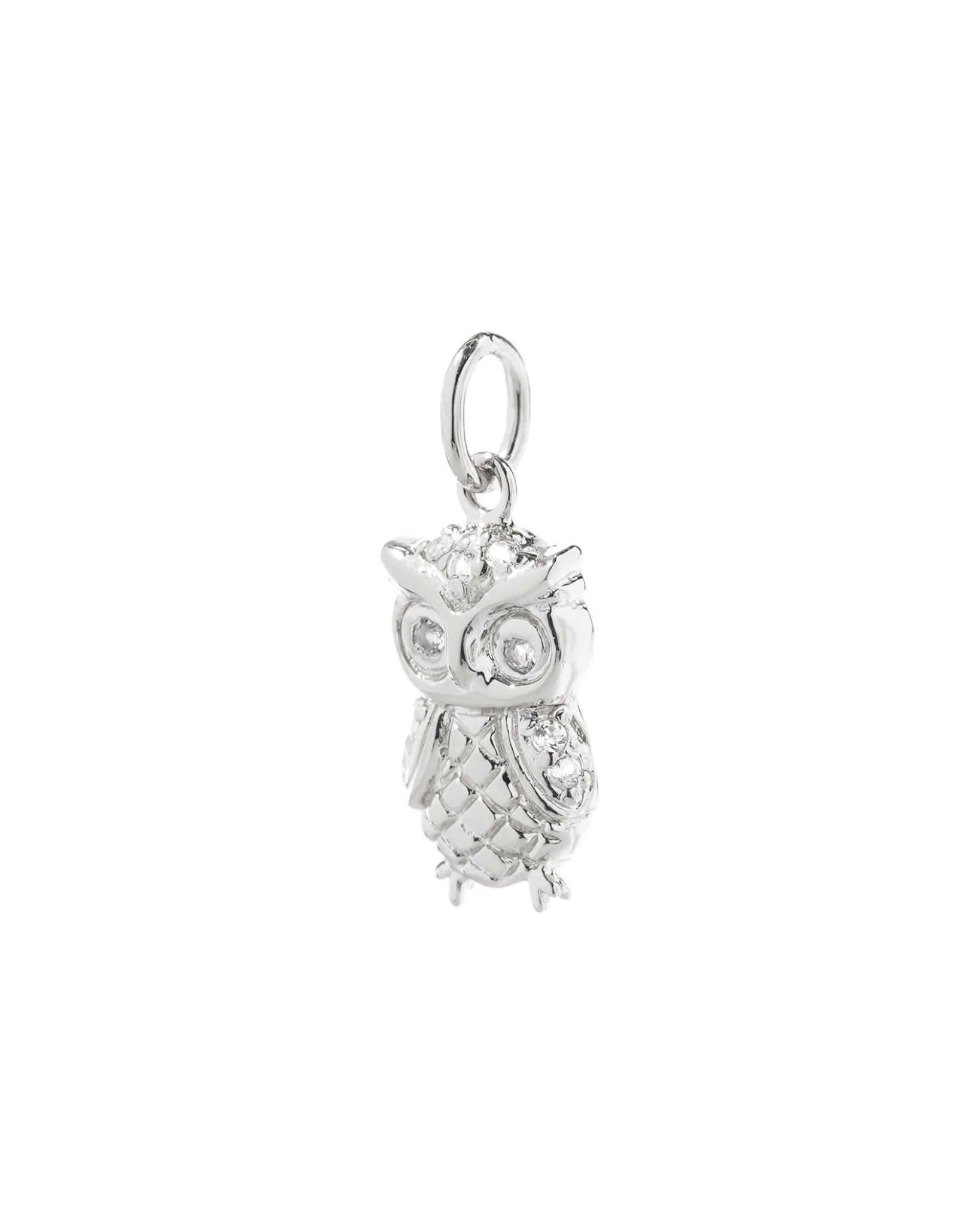 Owl Charm