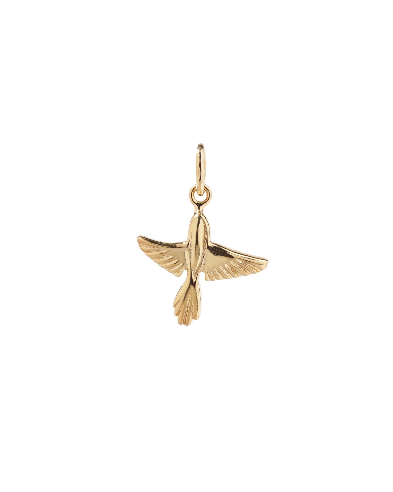 Charme d'oiseau