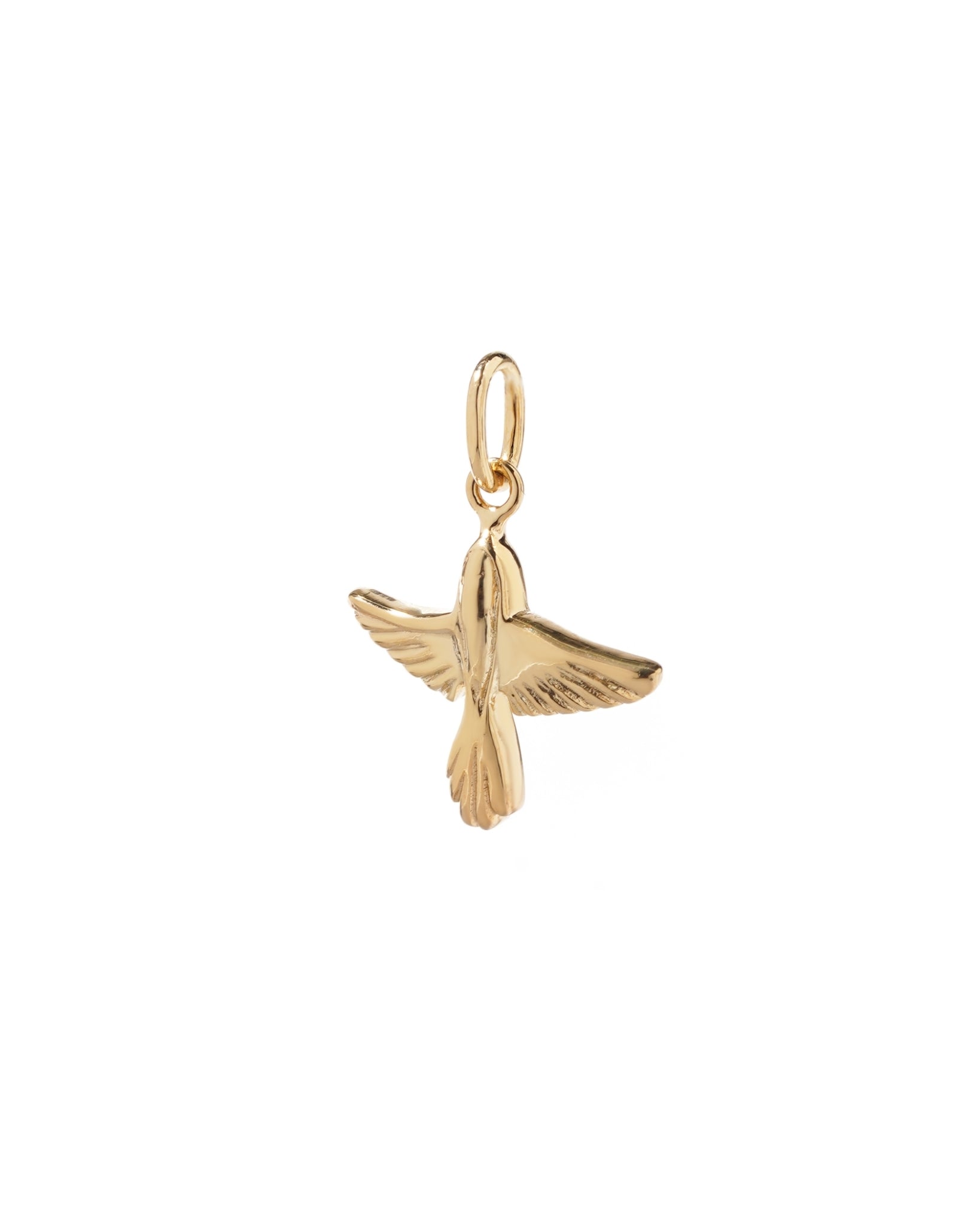 Charme d'oiseau