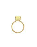 Rey Rings