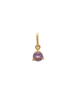 Elisa Charm