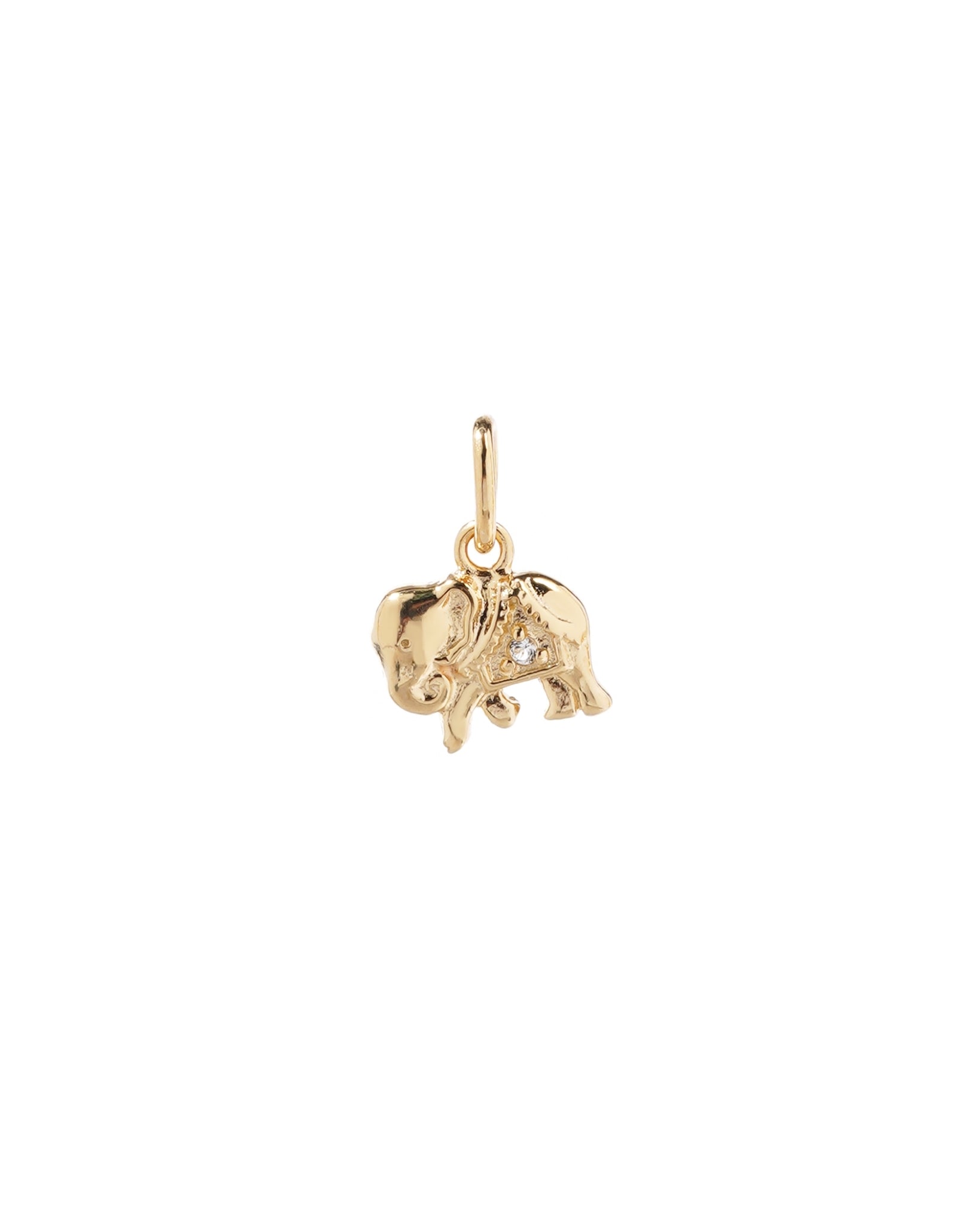 Elephant Charm