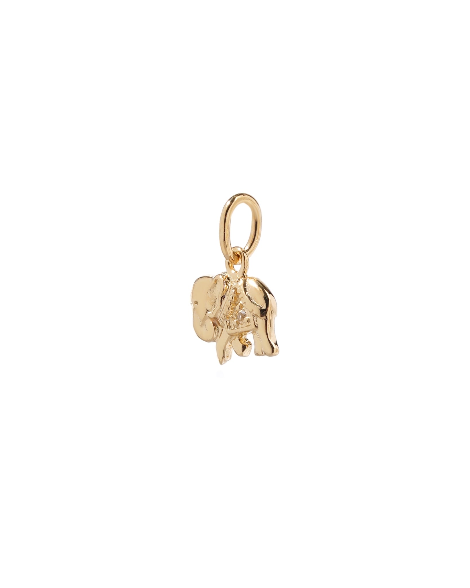 Elephant Charm