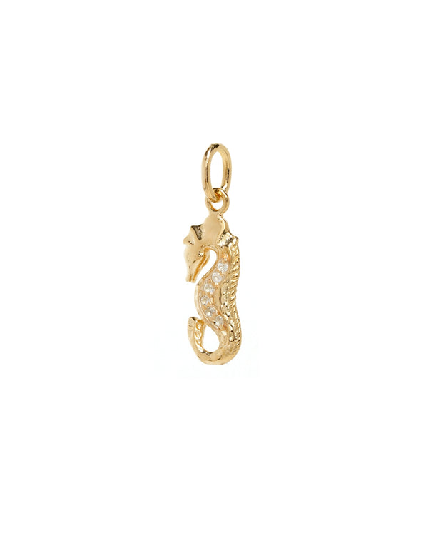 Seahorse Shine Charm