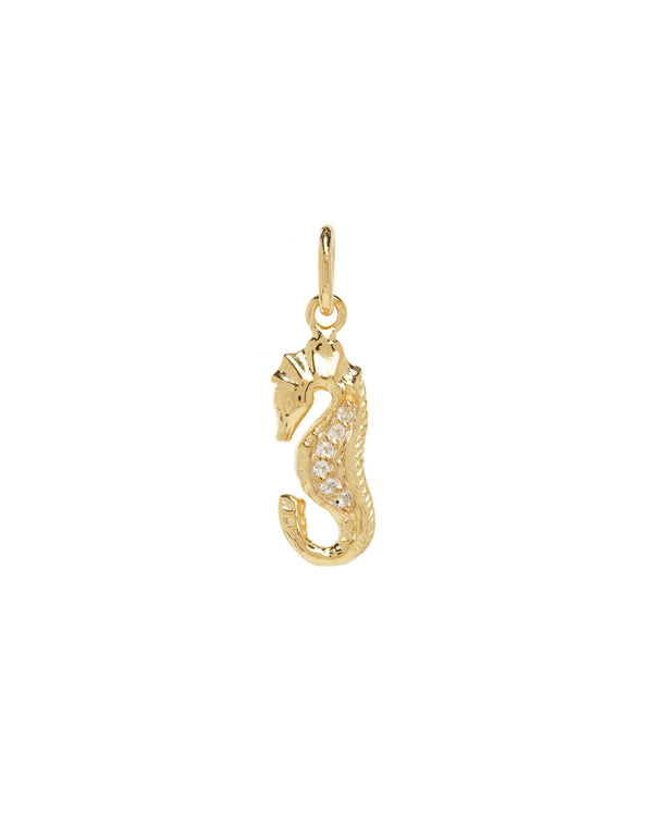 Seahorse Shine Charm